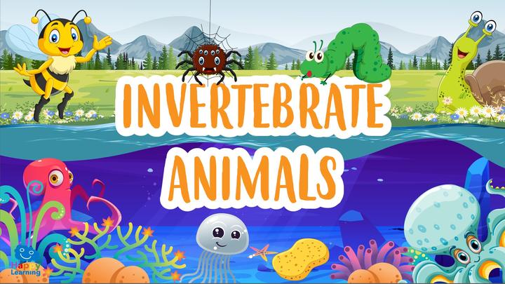 Educational Videos: Invertebrate Animals for Kids | Happy Learning