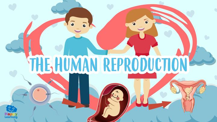 Educational video: Human reproduction for kids | Happy Learning