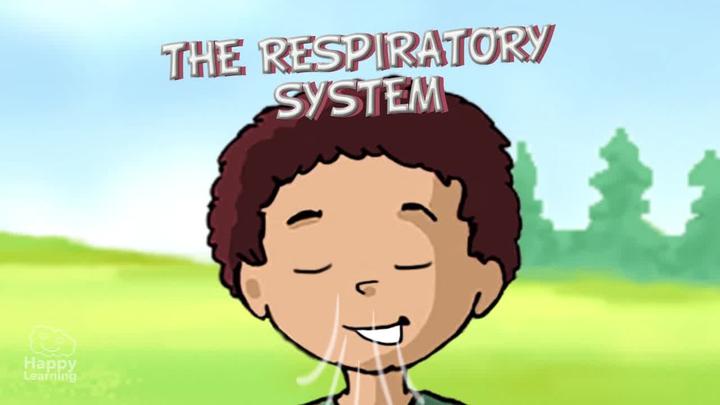 Educational video: The Respiratory System for kids | Happy Learning