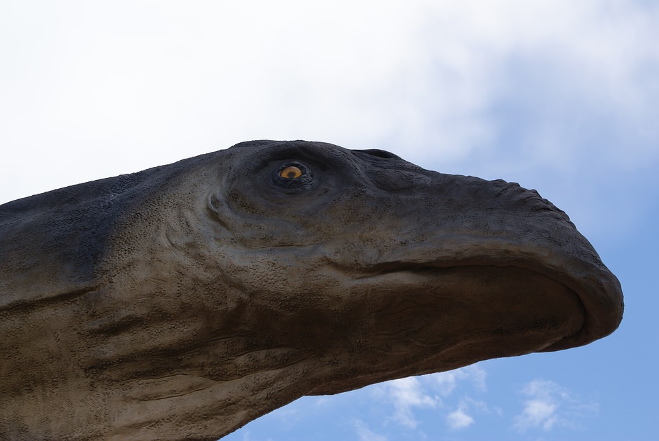 La Era de los Dinosaurios para niños | Happy Learning