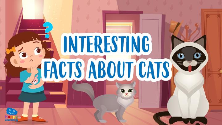 Educational video: Interesting facts about cats for kids | Happy Learning