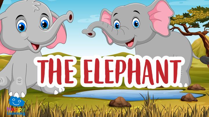 Educational video for kids: The Elephant | Happy Learning