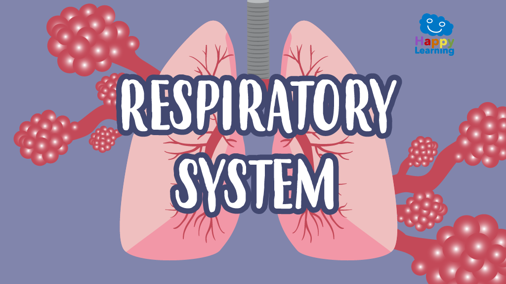 Word Search: Respiratory System - Games for Kids | Happy Learning