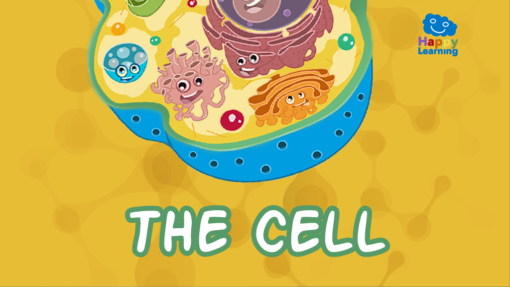 Quiz: The Cell