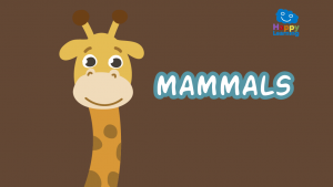 Quiz: The Mammals