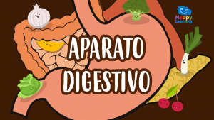 Sopa de letras: El aparato digestivo