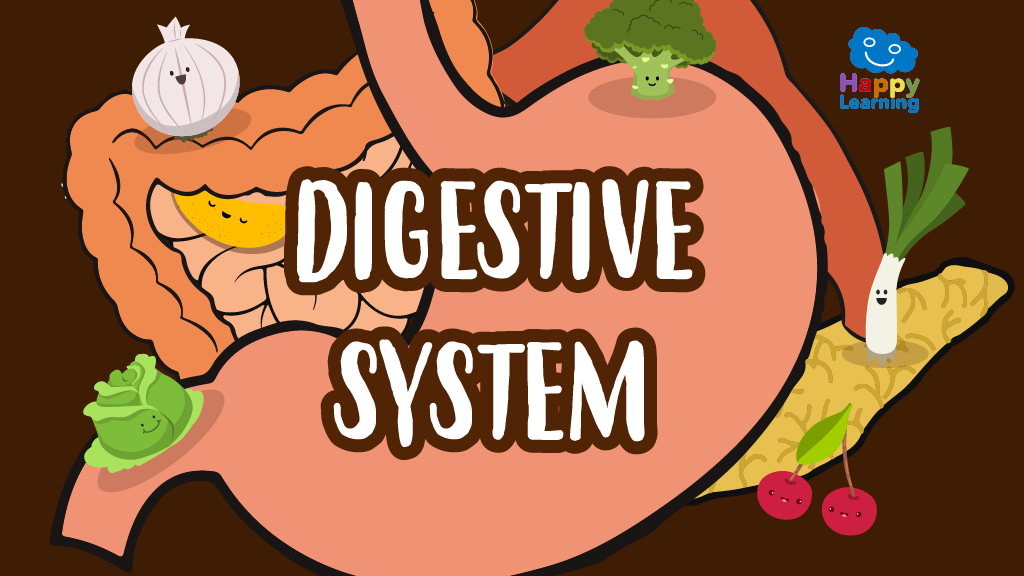Word Search: The Digestive System
