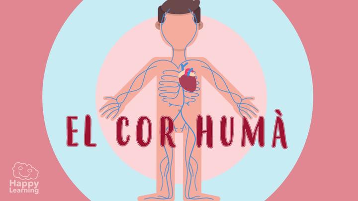 El cor humà