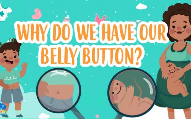 Why do we have our belly button?
