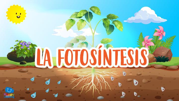 Guia léxico Frente al mar Vídeo educativo: La Fotosíntesis. ¿Cómo se alimentan las plantas? ?