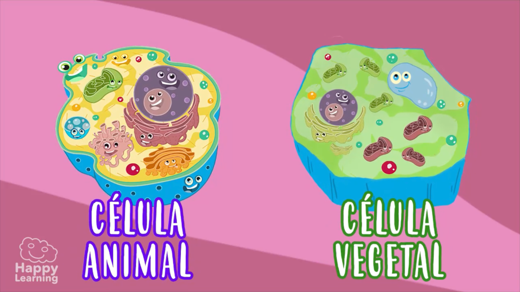 LA CÉLULA