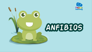 Quiz: Los Anfibios|Juego Los Anfibios