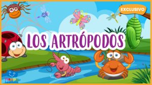 |los artrópodos||los artrópodos
