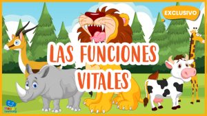 |Las funciones vitales de los seres vivos|