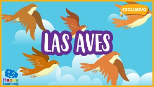 |Las Aves|birds
