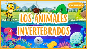 |Los Animales Invertebrados - Vídeos educativos|