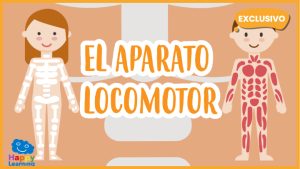 |aparato locomotor
