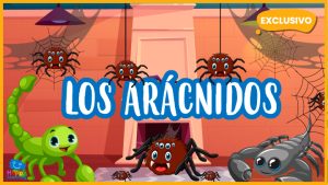 |los aracnidos|los aracnidos
