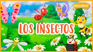 |los insectos|