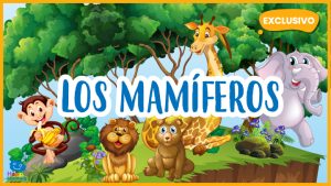 |Los Mamíferos|los mamíferos|
