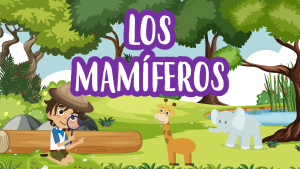los mamíferos parte II