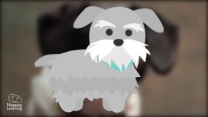 curiosidades de los perros|interesting facts about dogs