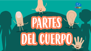 Sopa de letras: Las Partes del Cuerpo