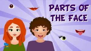 partes de la cara en inglés