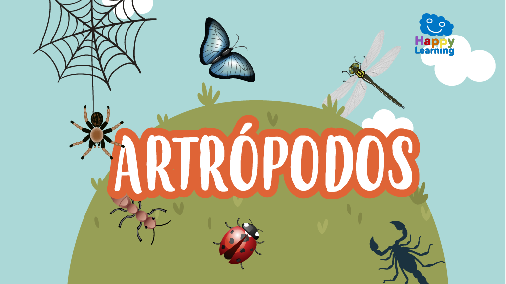 Quiz: Los artrópodos|Quiz: Los artrópodos