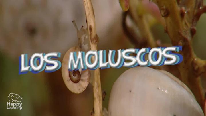 Los Moluscos|