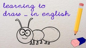 learning to draw... an ant