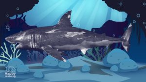 curiosidades de los tiburones