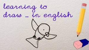 learning to draw... a bird