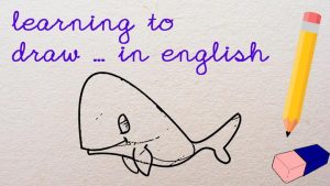 learning to draw... a whale