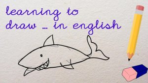 learning to draw... a shark
