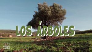 Los Árboles|trees