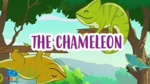 THE CHAMELEON|the chameleon