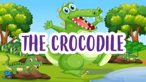 |The Crocodile