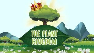 The Plant Kingdom
