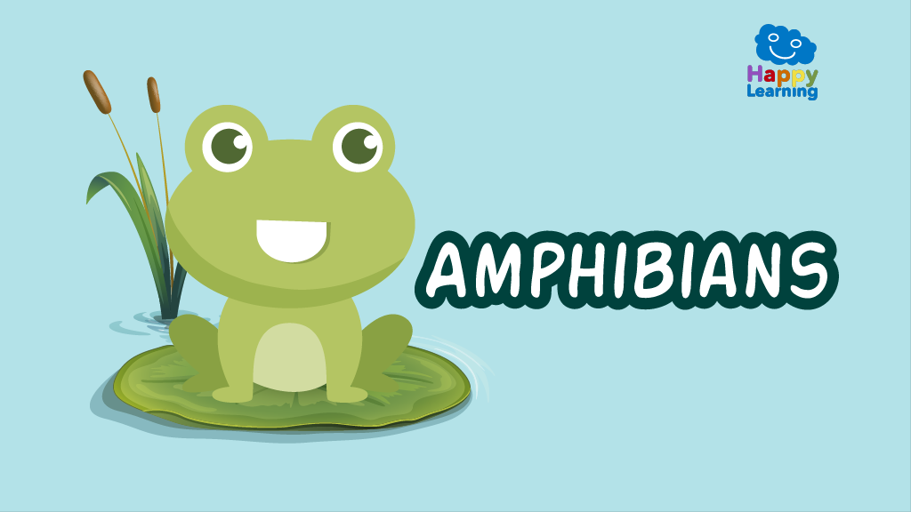 Quiz: amphibians