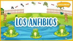 |Los Anfibios||los anfibios