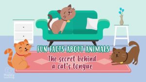 Animal Fun Facts : The secret behind a cat’s tongue