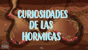 curiosidades de las hormigas