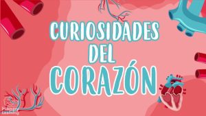 curiosidades del corazón