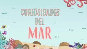 curiosidades del mar