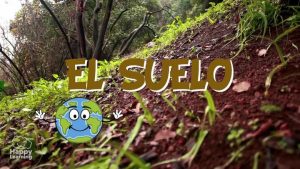 el suelo|ground