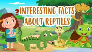 interesting facts about reptiles|interesting facts about reptiles|