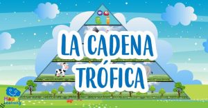 la cadena trófica|La Cadena Trófica|