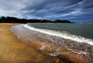 La contaminación de los mares