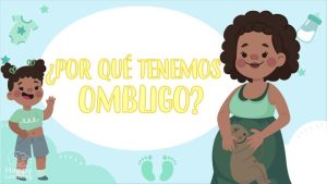 por que tenemos ombligo